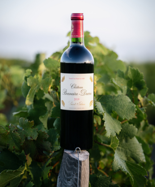 Newsletter (500 x 600 px)